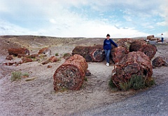 1997 - USA 138 (Petrified Forest National Park, AZ)